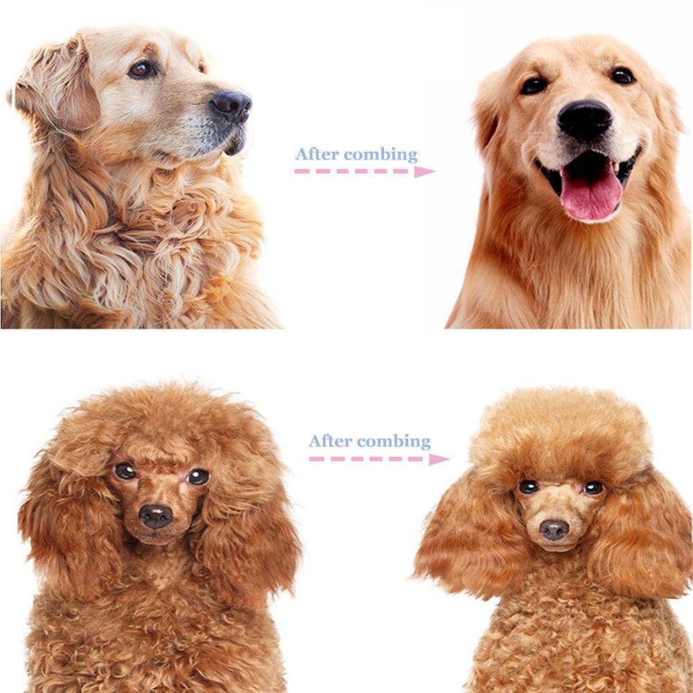 🐶 KAUFE 2, ERHALTE 1 GRATIS! 🐱 Professionelles Enthaarungs-Tool für Hunde & Katzen – Entfernt Lose Haare Effektiv, Sanft zur Haut & Einfache Reinigung 🧼