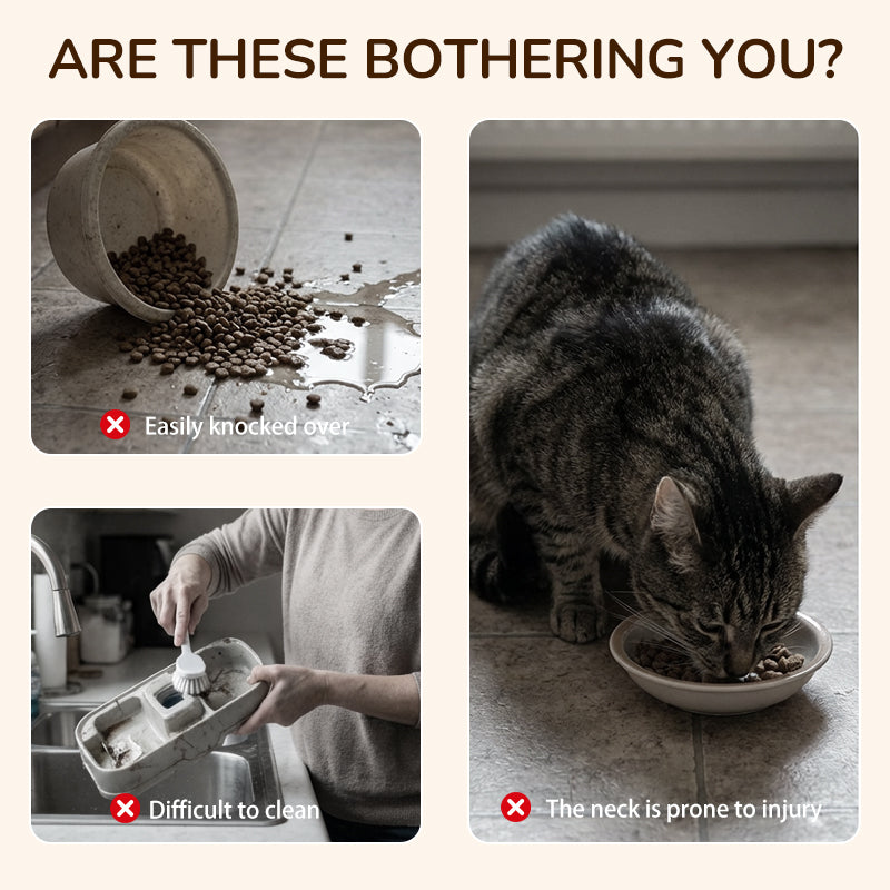 🐾🐱🐶 Rutschfester erhöhter Futtertrog 🥣 mit 3 Schalen für Haustiere 💖