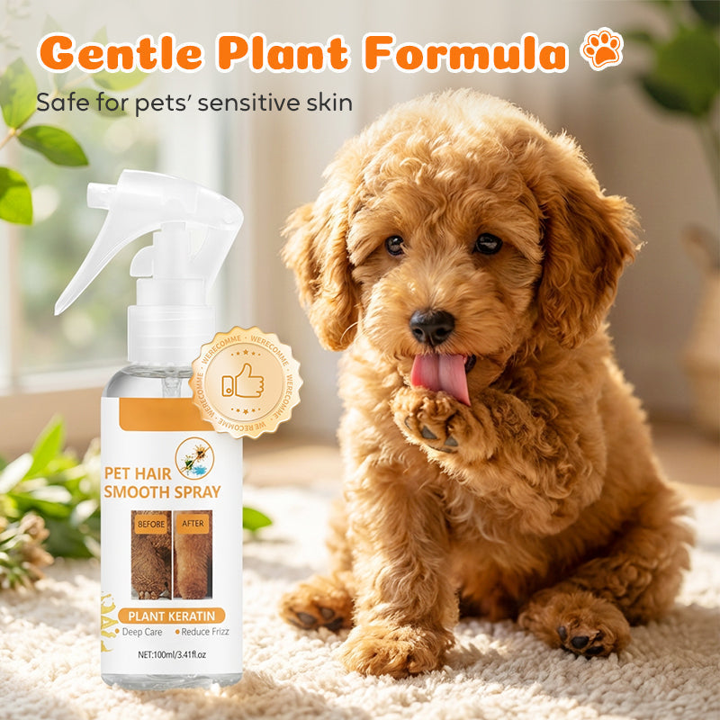 💥 MEGA DEAL:  2+1 GRATIS 🐾 Fellpflege Spray für Hunde & Katzen 🐶 sanft entwirrend, deodorierend & pflegend 🌿