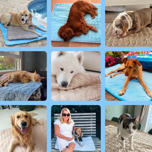 ⏳🔥NUR FÜR BEGRENZTE ZEIT: 50 % RABATT! 🐶 Kühlmatte für Hunde – 4-mal effektivere Kühlung für heiße Sommertage ❄️✨
