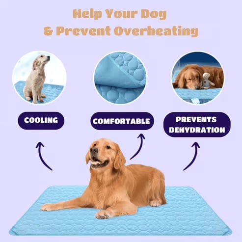 ⏳🔥NUR FÜR BEGRENZTE ZEIT: 50 % RABATT! 🐶 Kühlmatte für Hunde – 4-mal effektivere Kühlung für heiße Sommertage ❄️✨